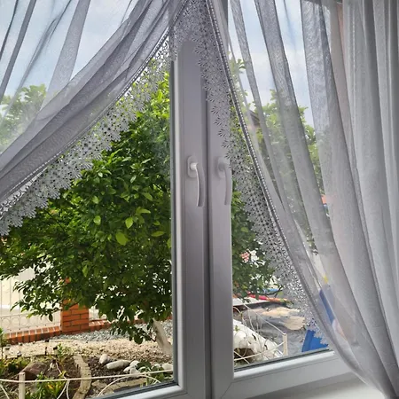 Lilia Guest house Leba