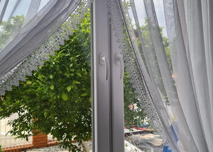 Lilia 招待所 莱鲍